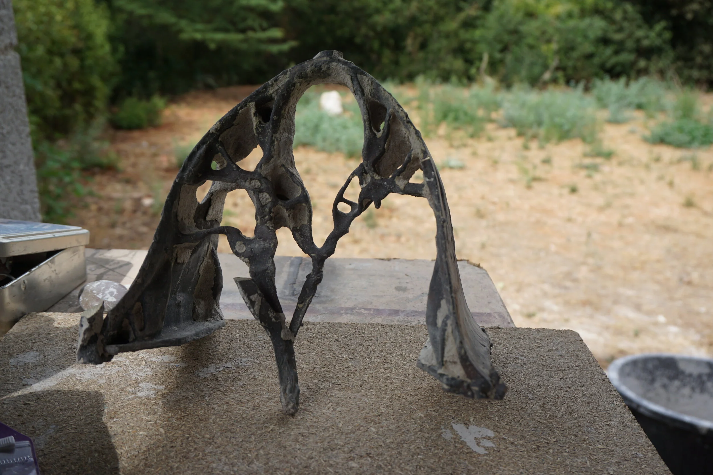 after some work to cut out the piece from the tree